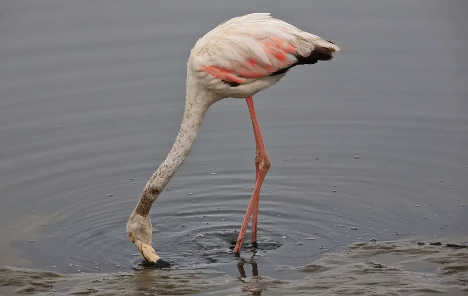 Namibia_WalvisBay_011.jpg