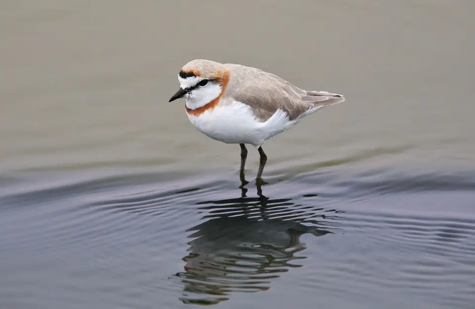 Namibia_WalvisBay_048.jpg