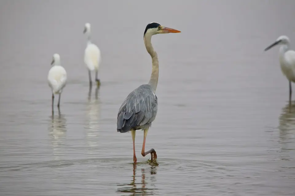 Namibia_WalvisBay_142.jpg