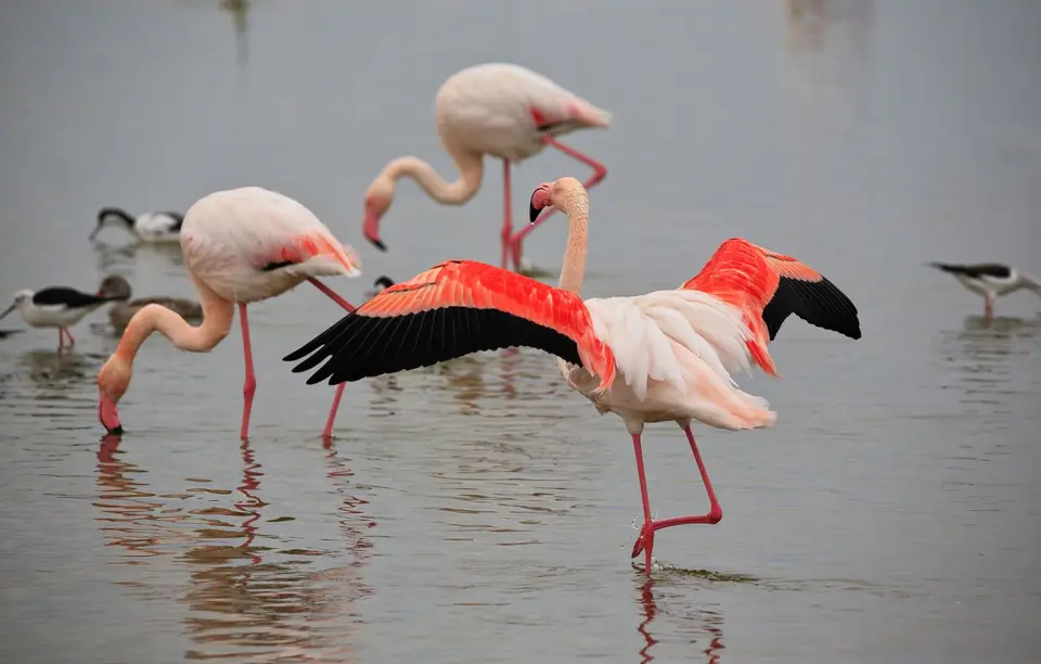 Namibia_WalvisBay_149.jpg