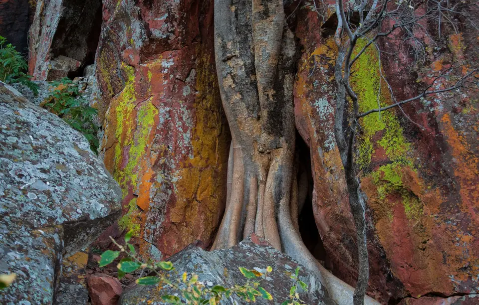 Namibia_Waterberg_08.jpg