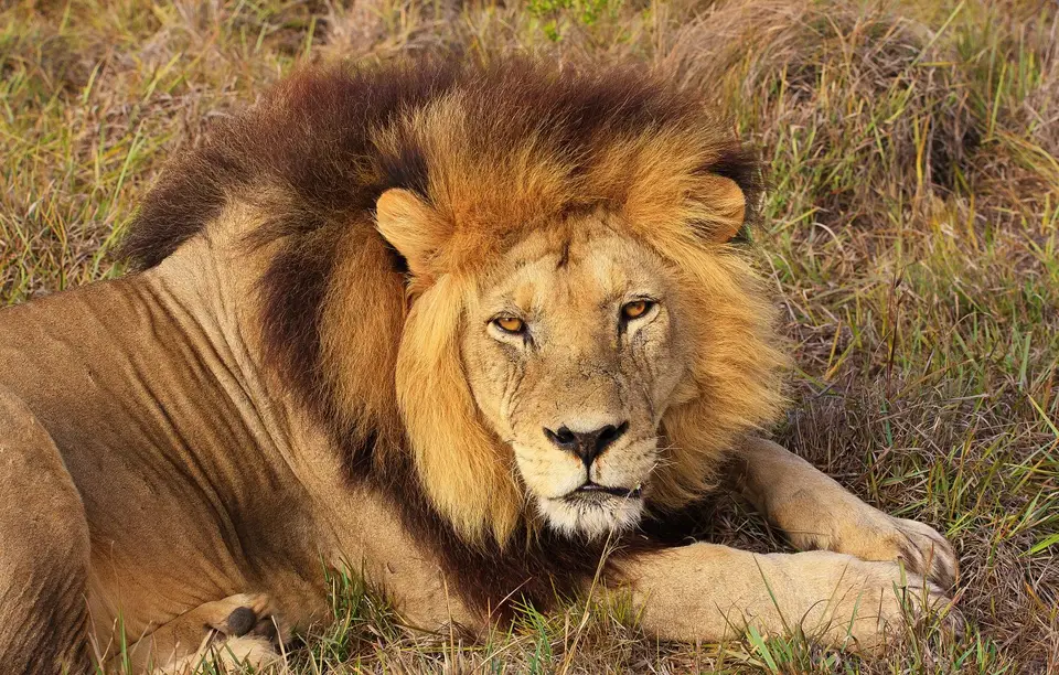 Südafrika_AddoElephantNP_075.jpg