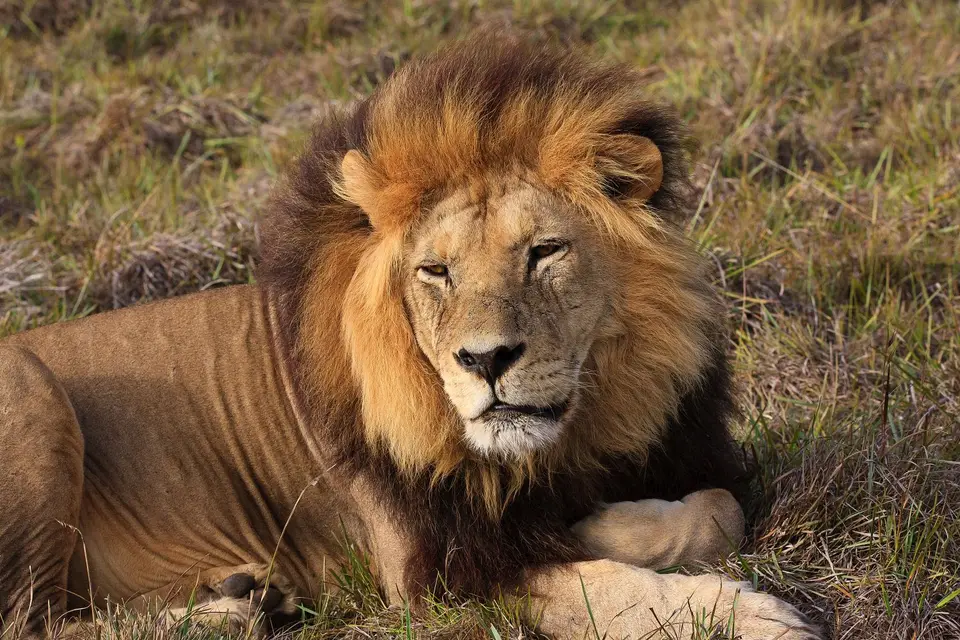Südafrika_AddoElephantNP_077.jpg