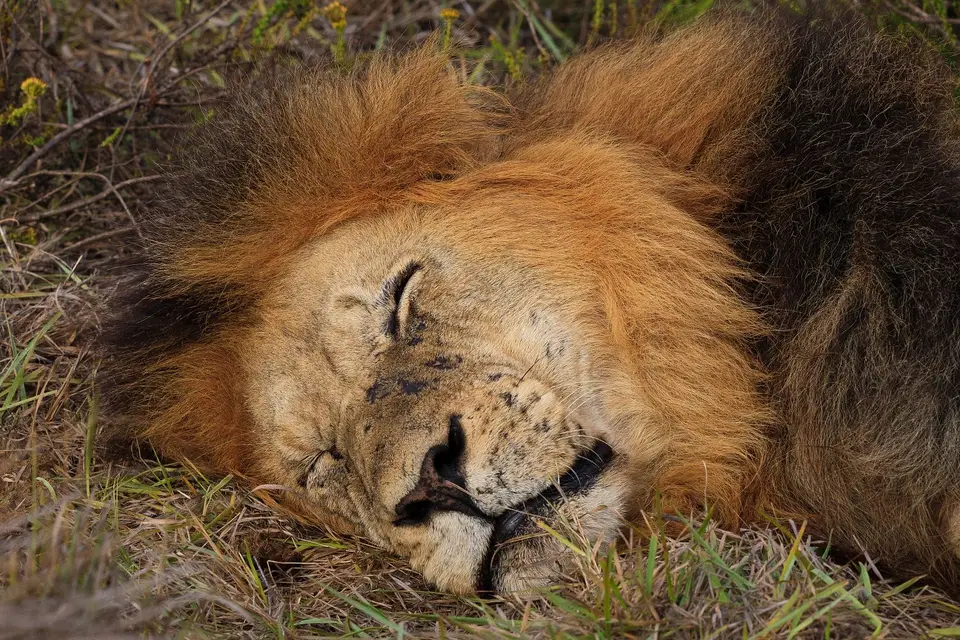 Südafrika_AddoElephantNP_080.jpg