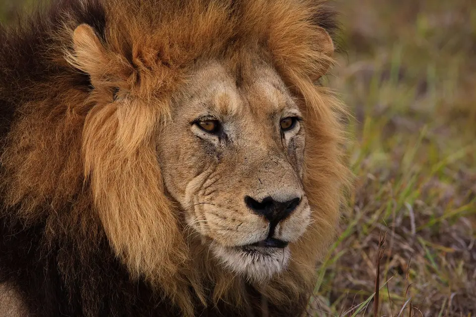 Südafrika_AddoElephantNP_082.jpg