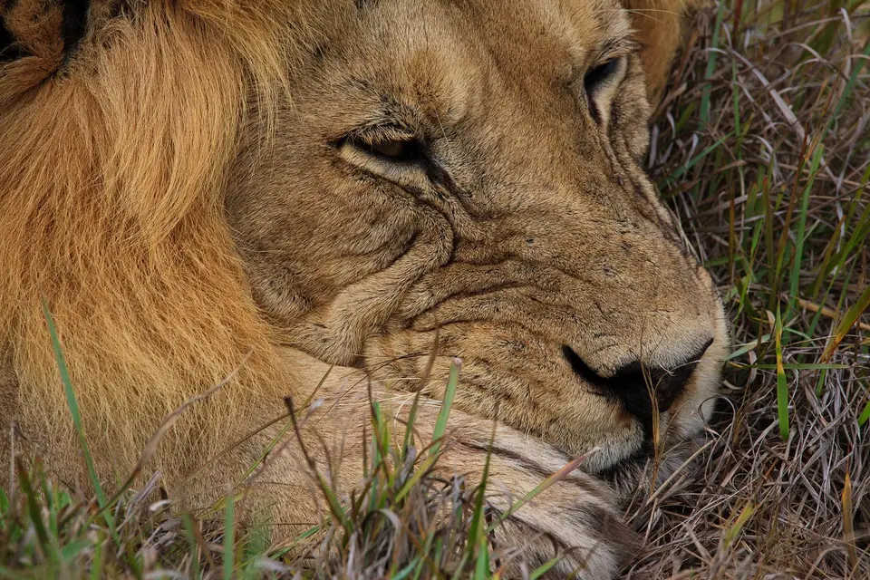 Südafrika_AddoElephantNP_083.jpg