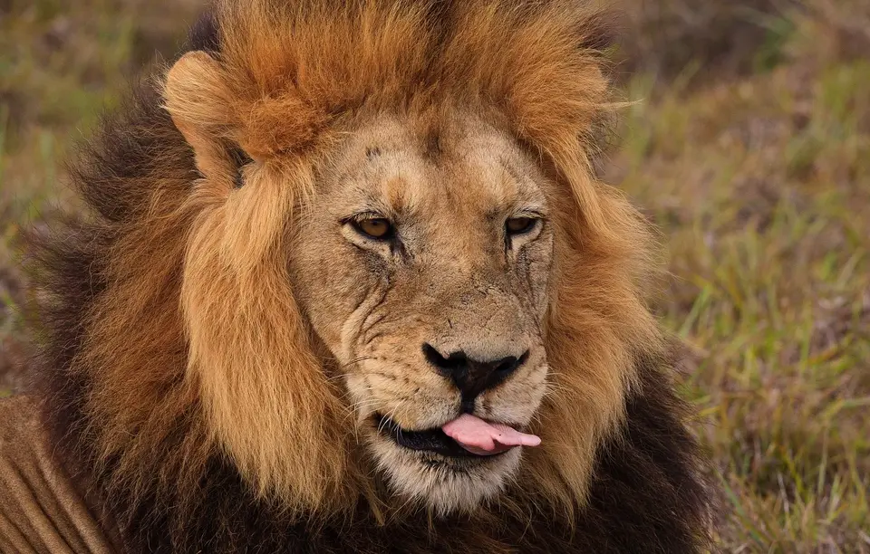 Südafrika_AddoElephantNP_087.jpg