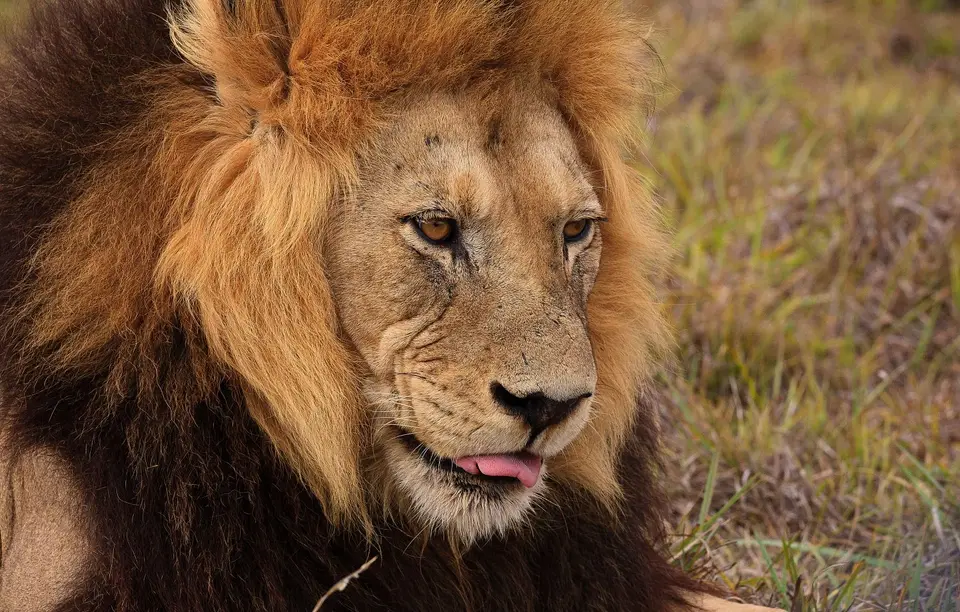 Südafrika_AddoElephantNP_088.jpg