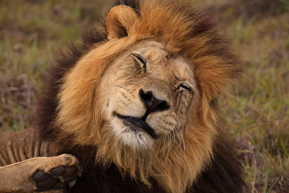 Südafrika_AddoElephantNP_101.jpg