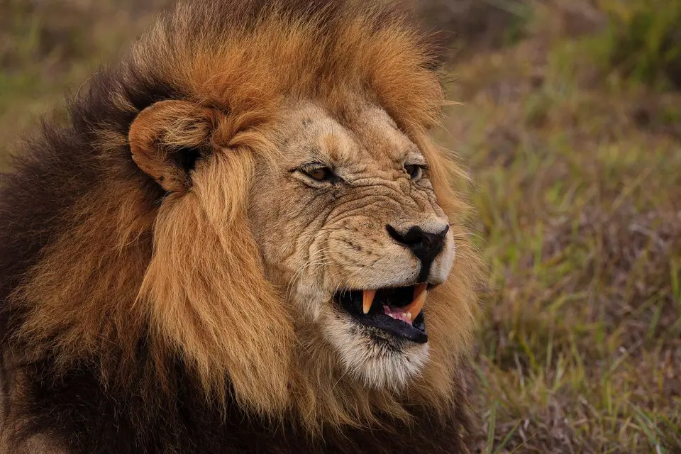 Südafrika_AddoElephantNP_102.jpg