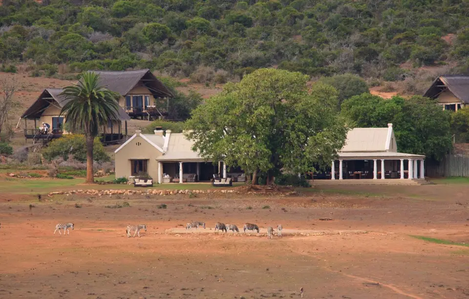 Südafrika_AddoElephantNP_107.jpg