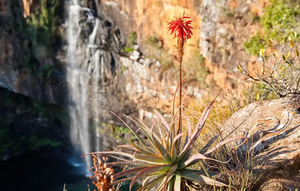 Südafrika_BlydeRiver_034.jpg