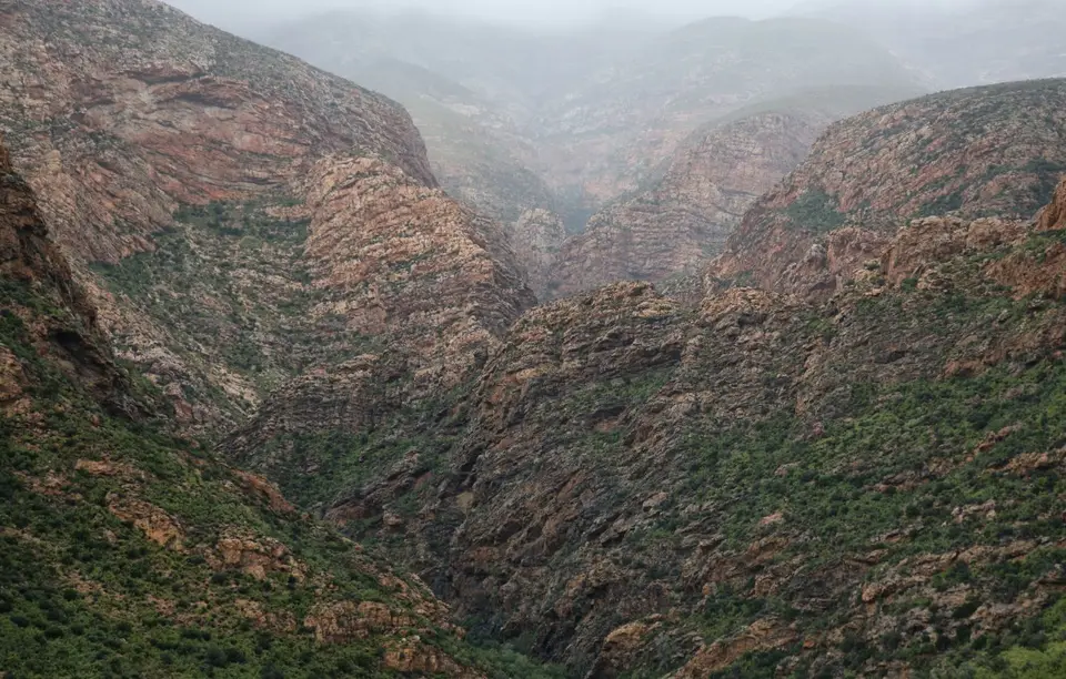 Südafrika_Calitzdorp_03.jpg