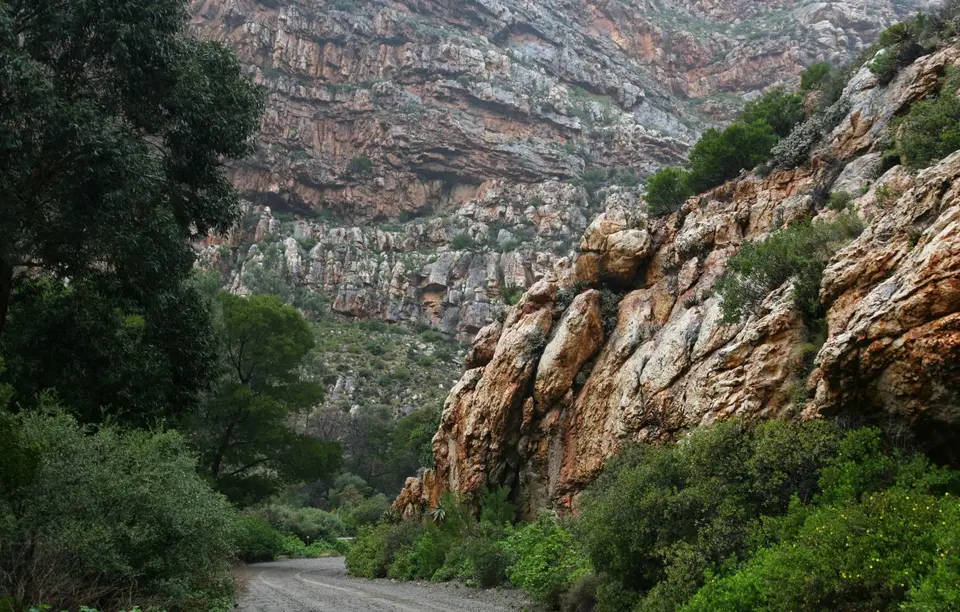 Südafrika_Calitzdorp_07.jpg