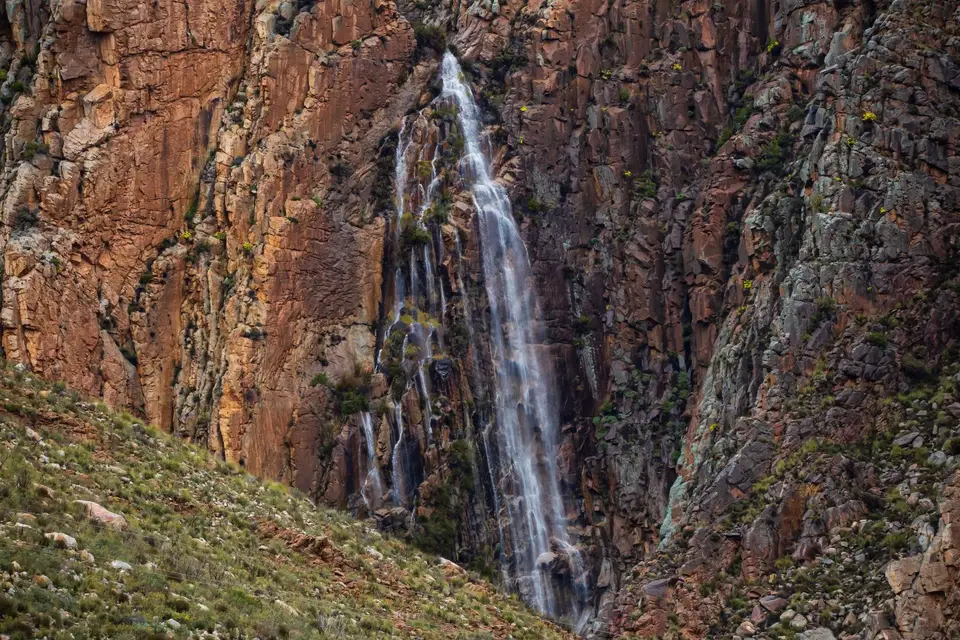 Südafrika_Calitzdorp_20.jpg