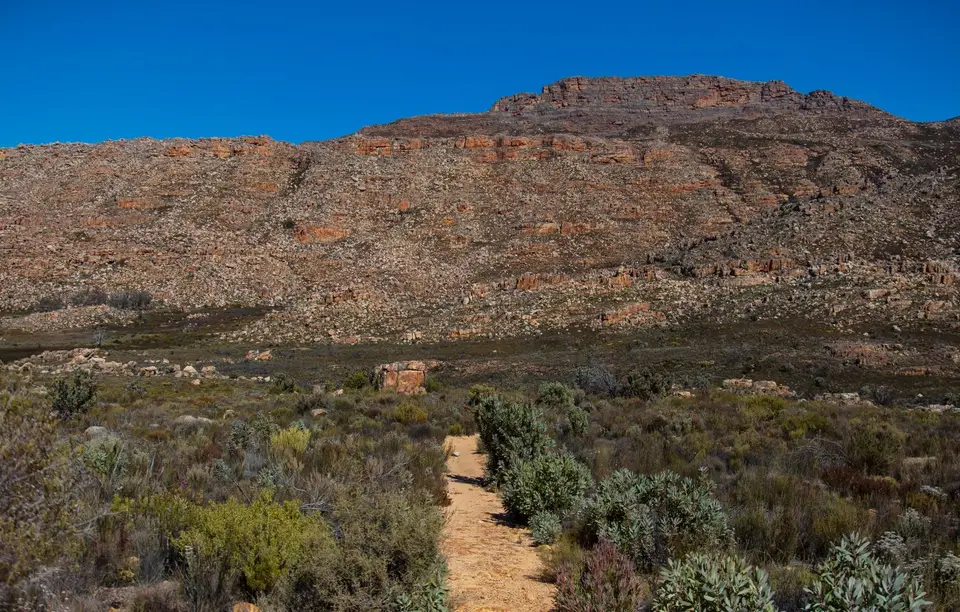 Südafrika_Cederberge_Malteserkreuz_01.jpg