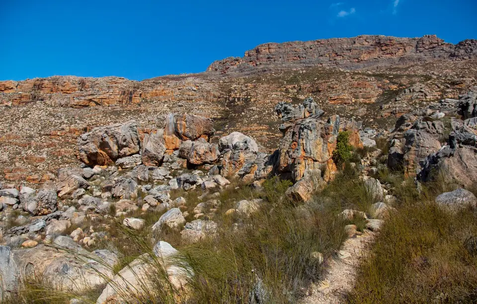 Südafrika_Cederberge_Malteserkreuz_04.jpg