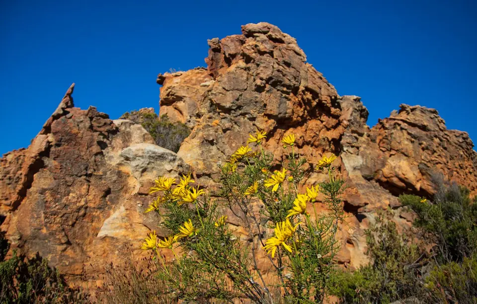 Südafrika_Cederberge_StadsaalCave_06.jpg