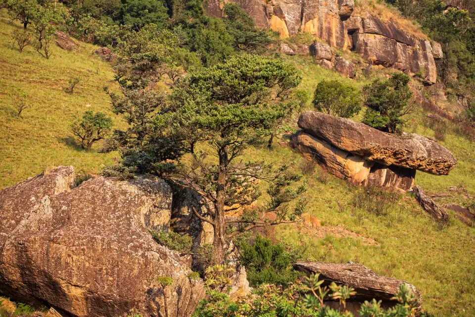 Südafrika_Drakensberge_CathedralPeak_091.jpg