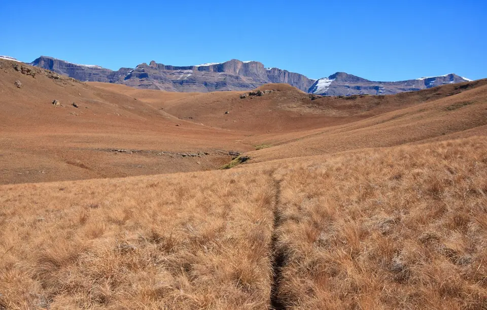 Südafrika_Drakensberge_GiantsCastle_033.jpg