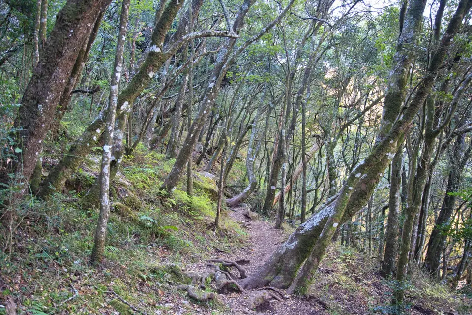 Südafrika_Drakensberge_GiantsCastle_038.jpg