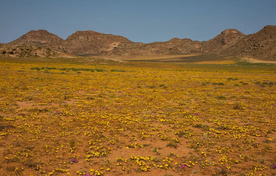 Südafrika_GoegapNR_02.jpg