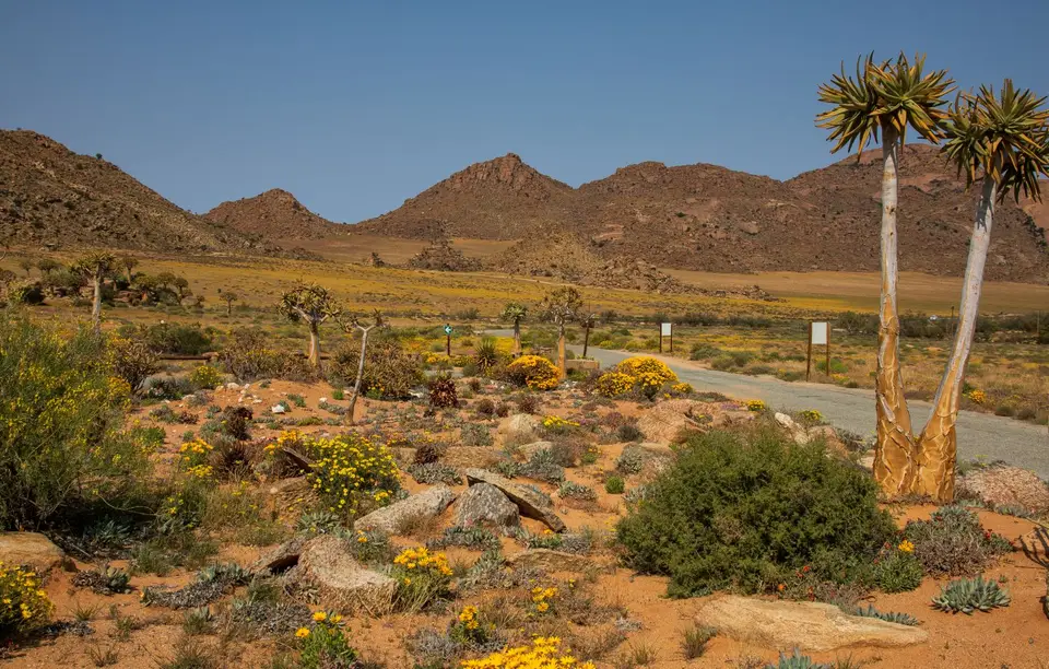 Südafrika_GoegapNR_03.jpg