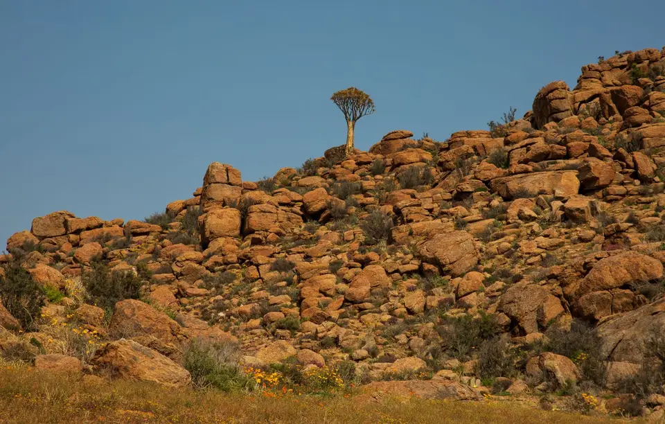 Südafrika_GoegapNR_22.jpg
