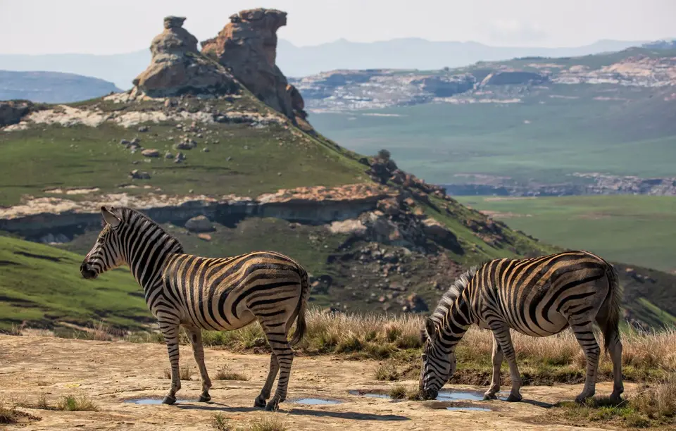 Südafrika_GoldenGateNP_061.jpg