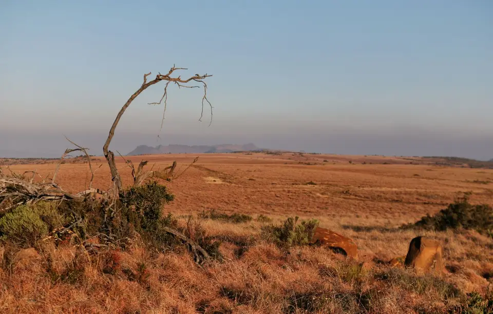 Südafrika_GraaffReinet_MtCamdeboo_024.jpg