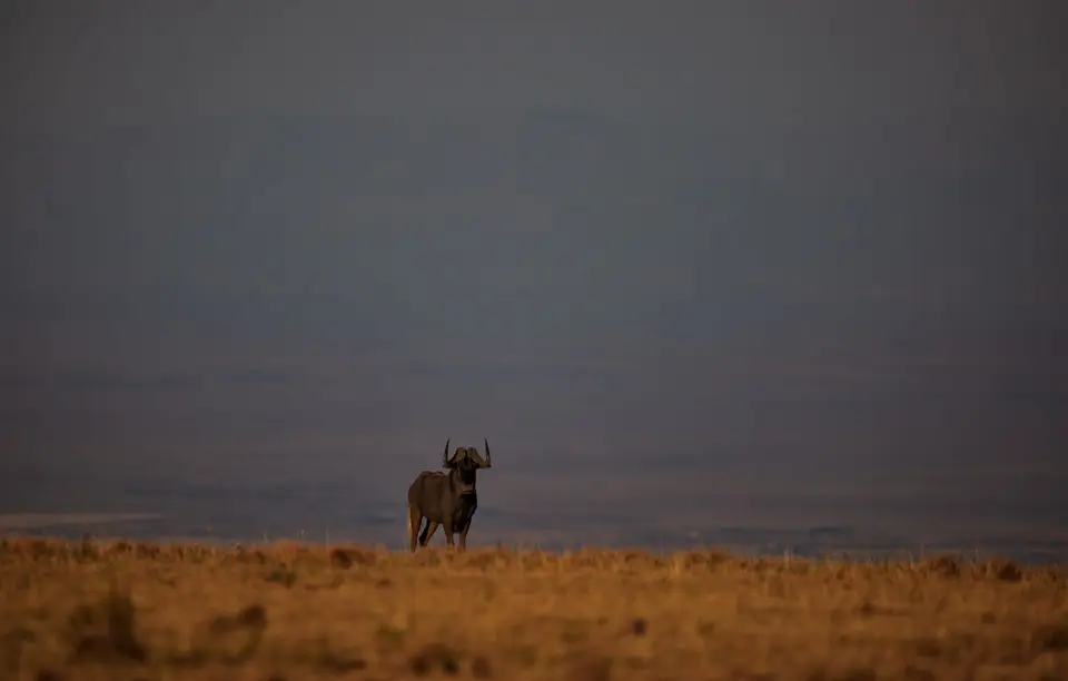 Südafrika_GraaffReinet_MtCamdeboo_085.jpg