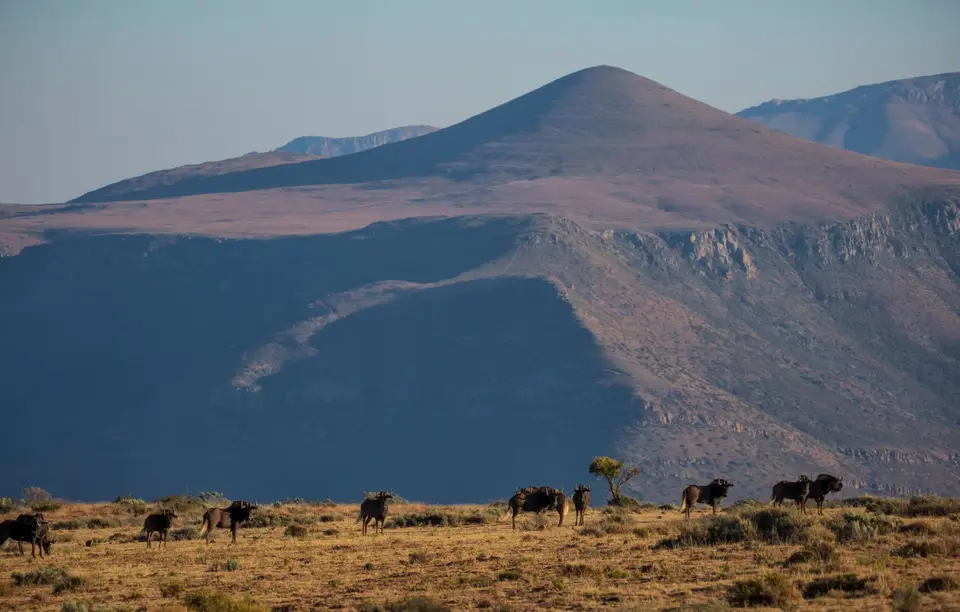 Südafrika_GraaffReinet_MtCamdeboo_097.jpg