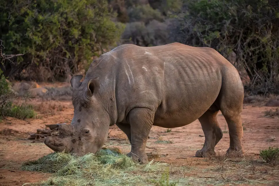 Südafrika_GraaffReinet_MtCamdeboo_145.jpg