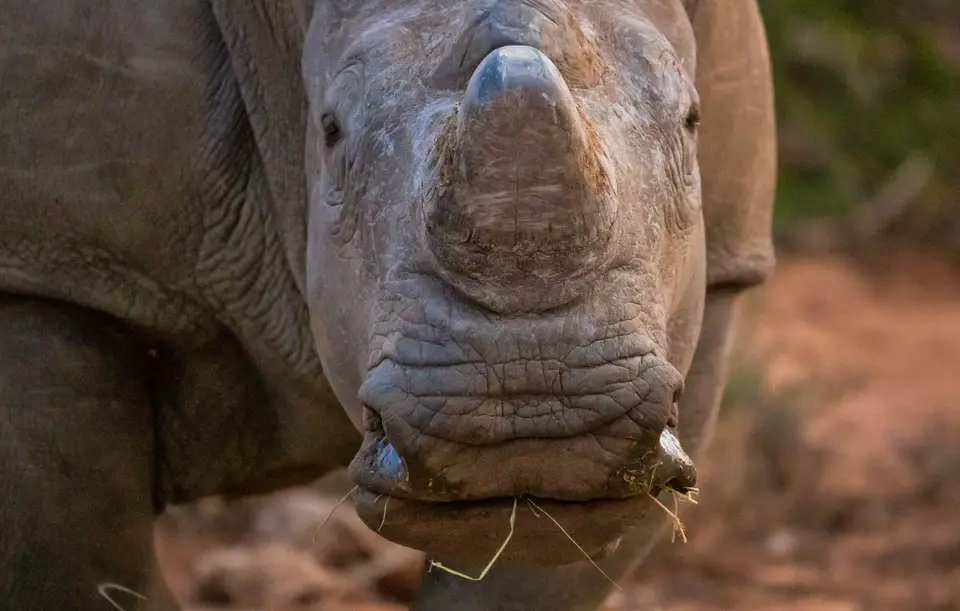 Südafrika_GraaffReinet_MtCamdeboo_153.jpg