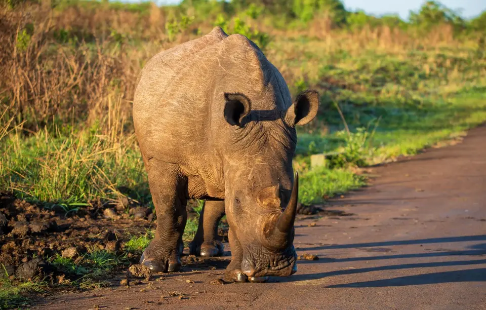 Südafrika_Hluhluwe_028.jpg