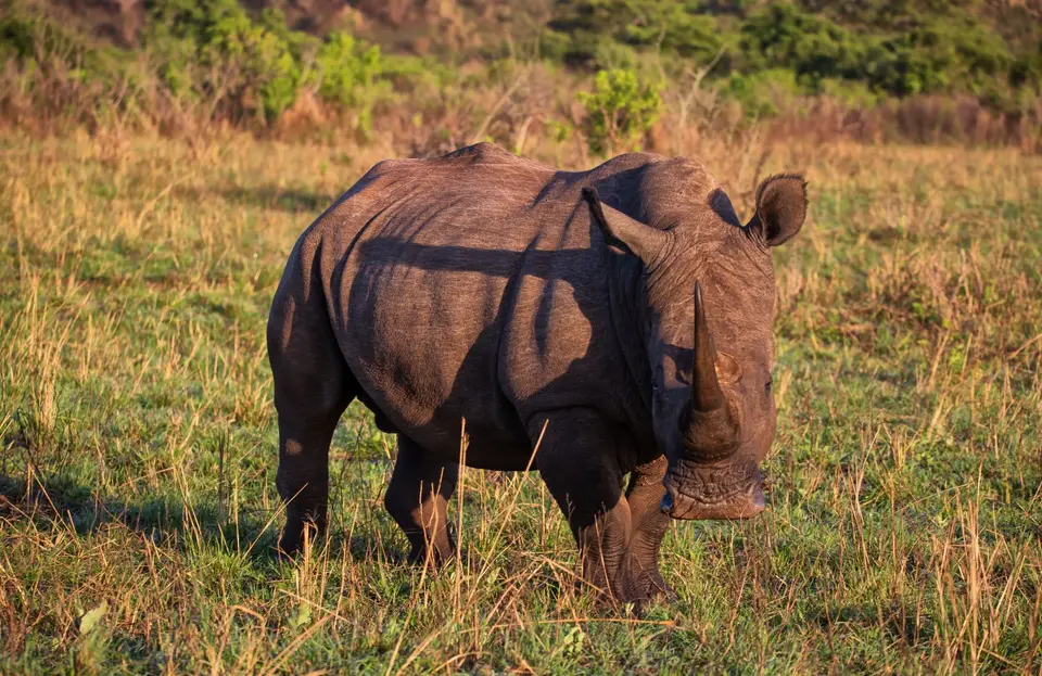 Südafrika_Hluhluwe_032.jpg