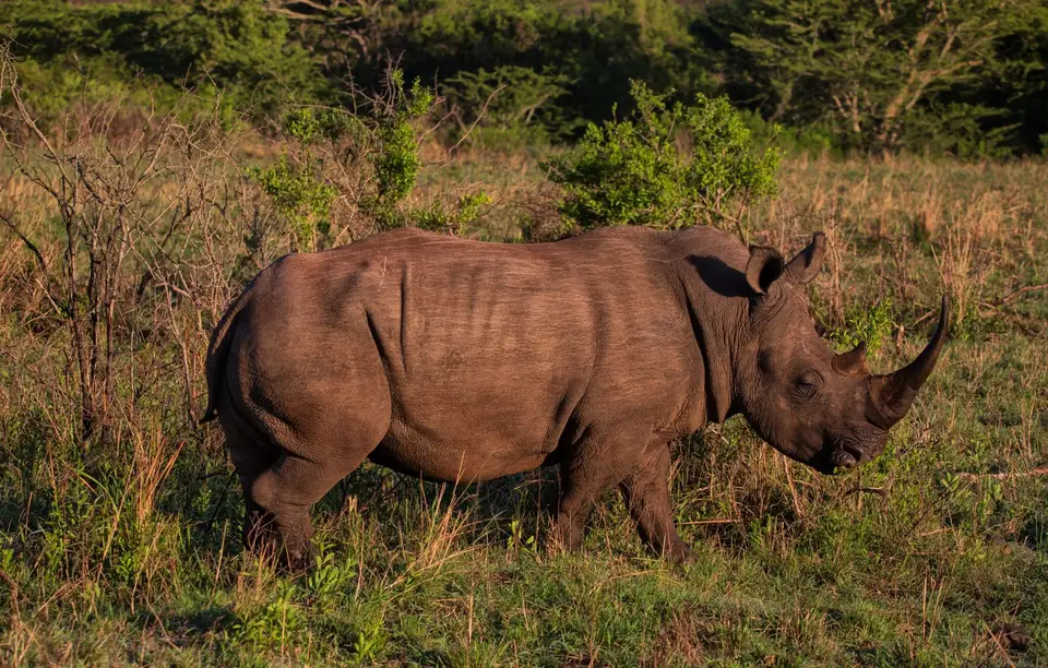 Südafrika_Hluhluwe_036.jpg