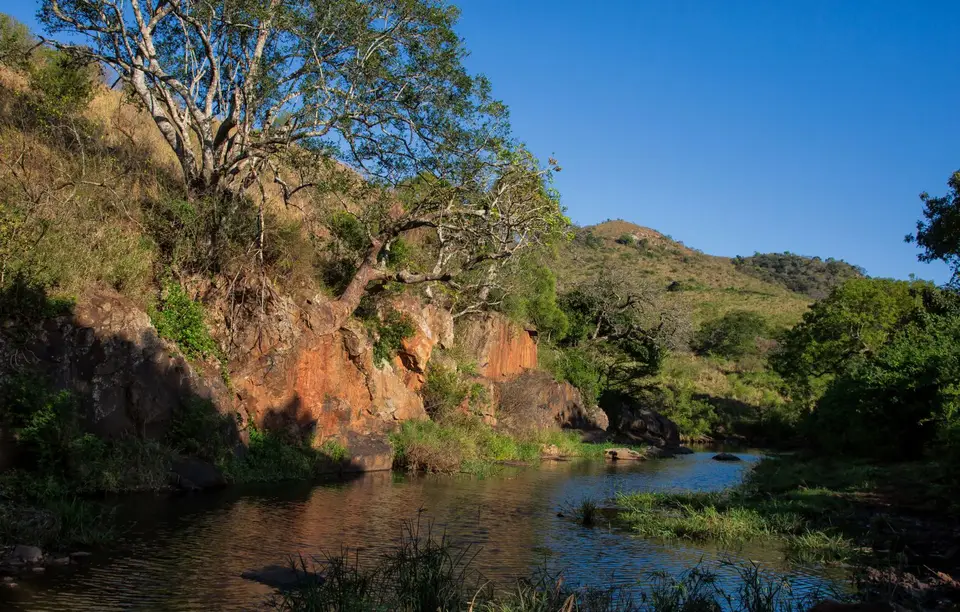 Südafrika_Hluhluwe_051.jpg