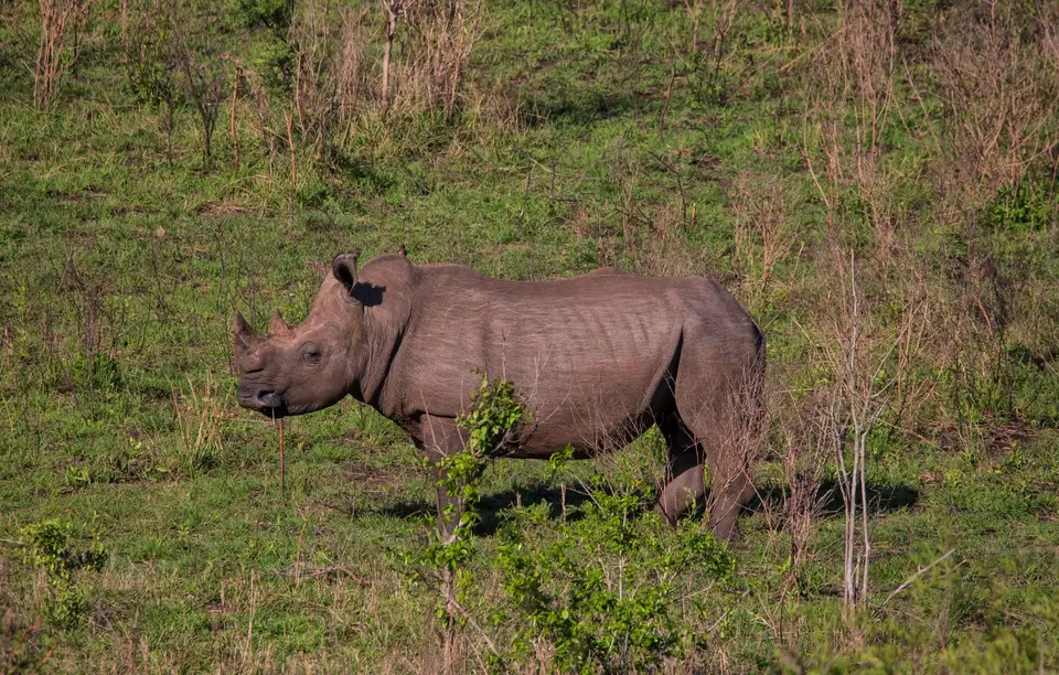 Südafrika_Hluhluwe_055.jpg