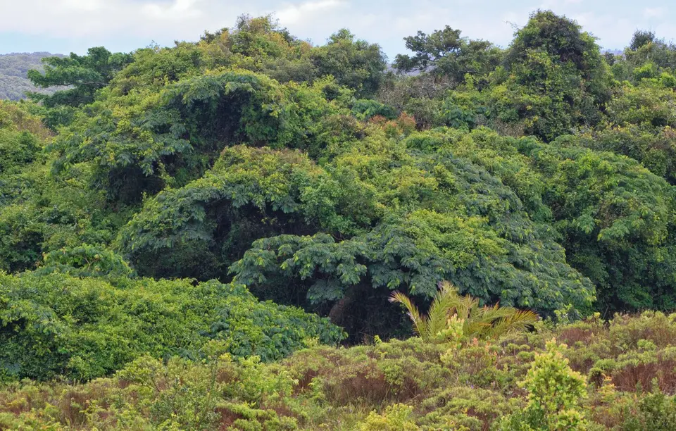 Südafrika_Isimangaliso_010.jpg