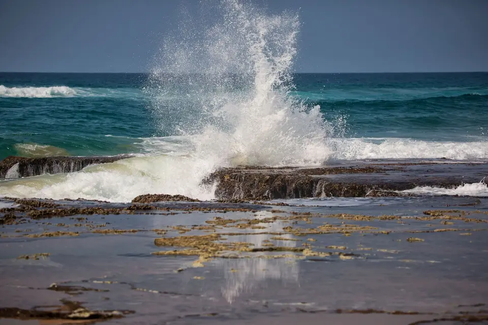 Südafrika_Isimangaliso_068.jpg