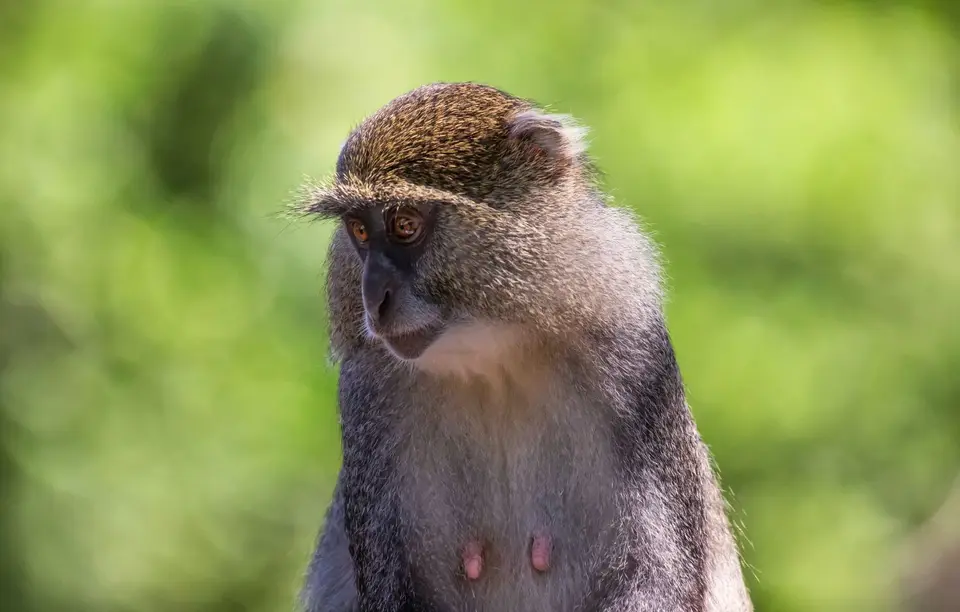 Südafrika_Isimangaliso_070.jpg