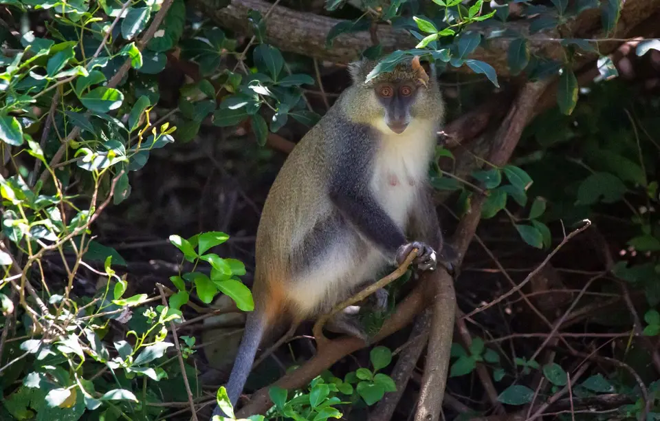 Südafrika_Isimangaliso_077.jpg