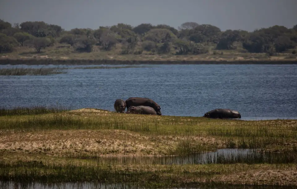 Südafrika_Isimangaliso_080.jpg