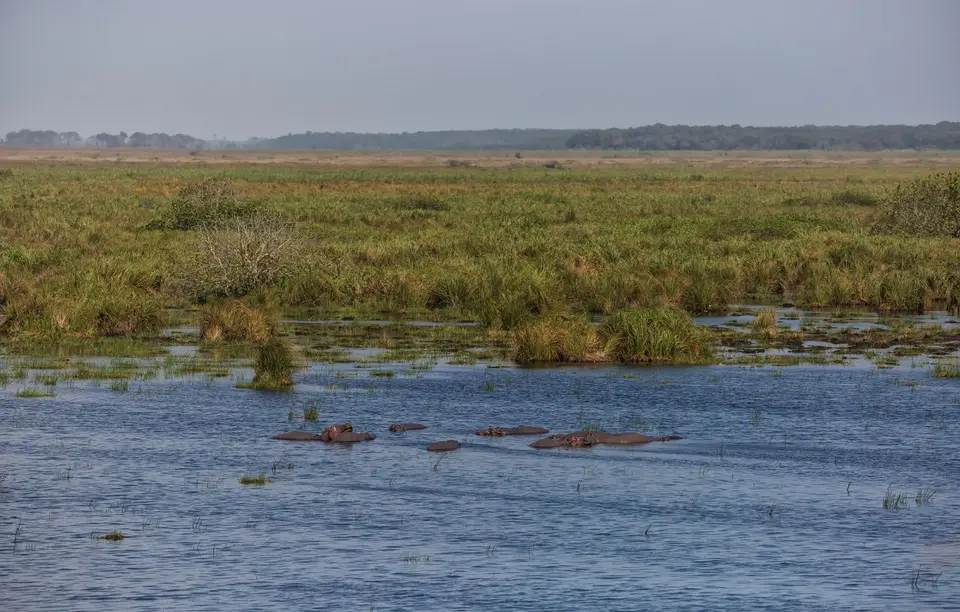 Südafrika_Isimangaliso_081.jpg