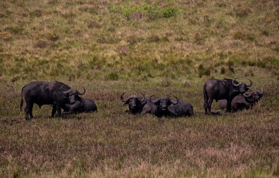 Südafrika_Isimangaliso_086.jpg