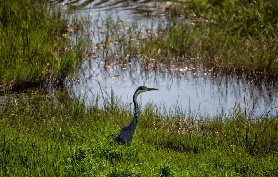 Südafrika_Isimangaliso_090.jpg