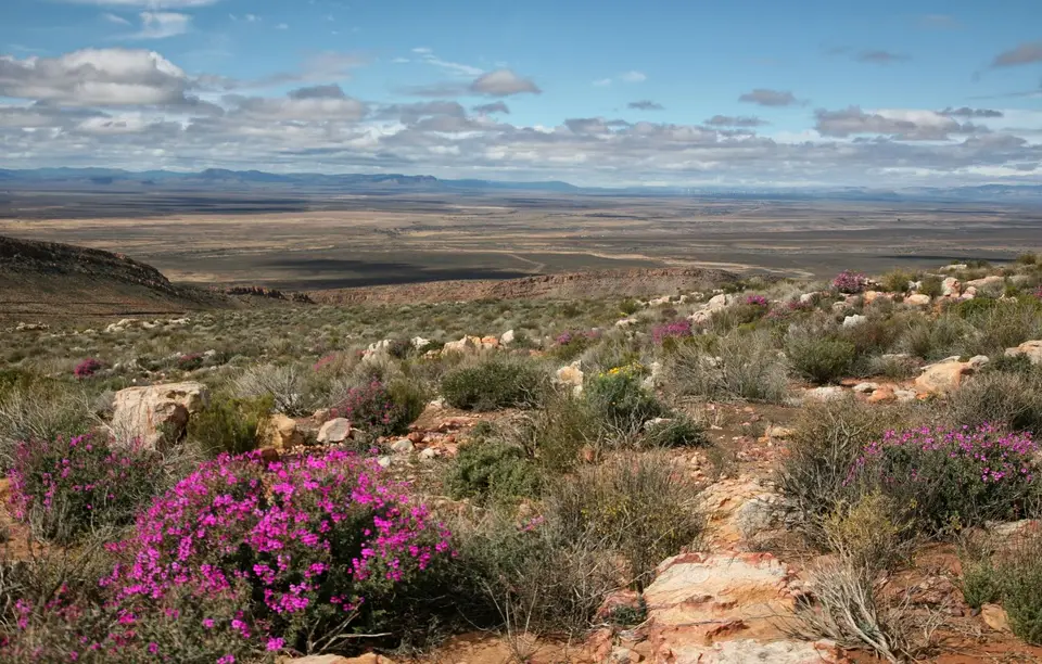 Südafrika_KaggaKamma_012.jpg