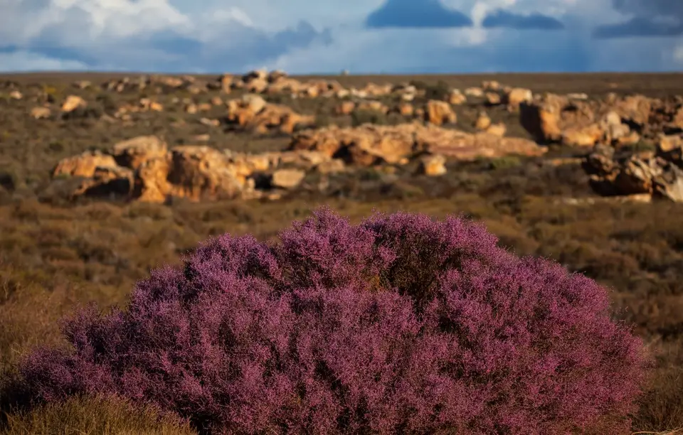 Südafrika_KaggaKamma_051.jpg