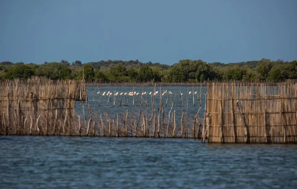 Südafrika_KosiBay_109.jpg